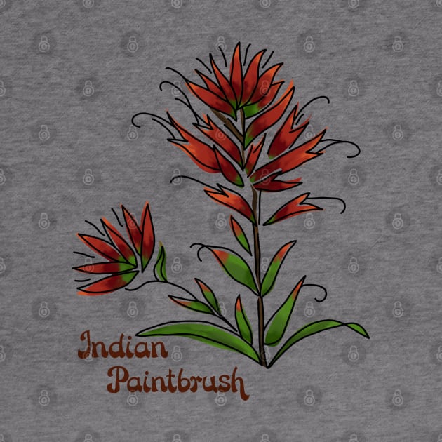 Indian Paintbrush by Slightly Unhinged